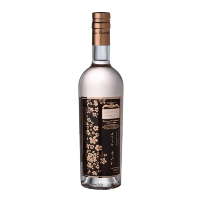 MANCINO SAKURA